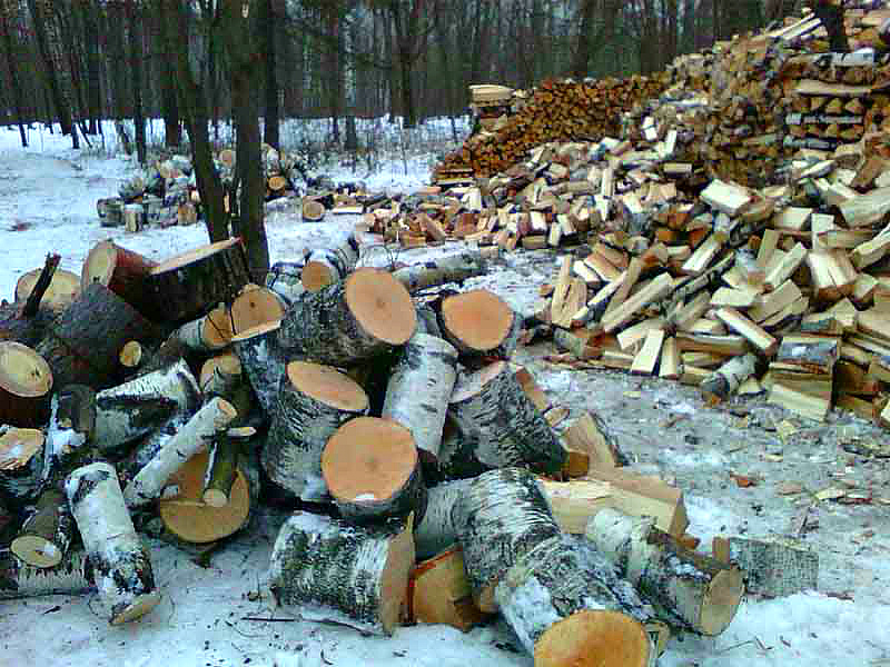 Заготовка дров.